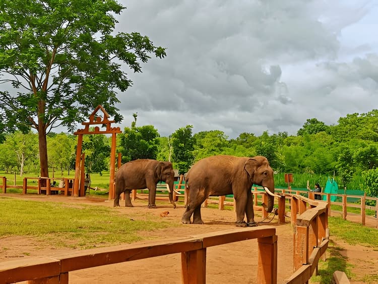 coorg
