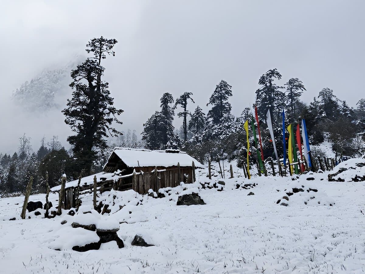 Sikkim