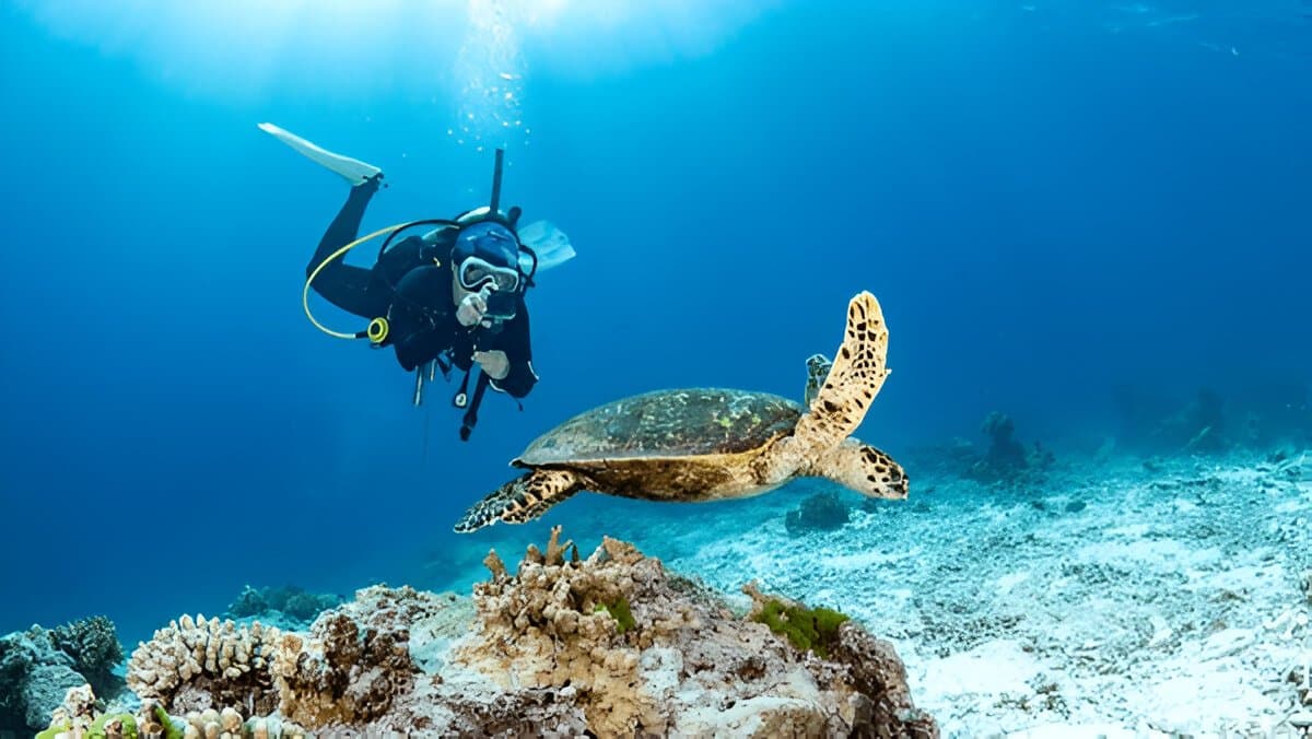 Andaman