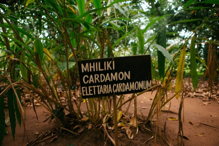Kerala