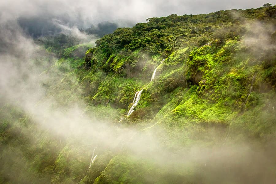 Mumbai green