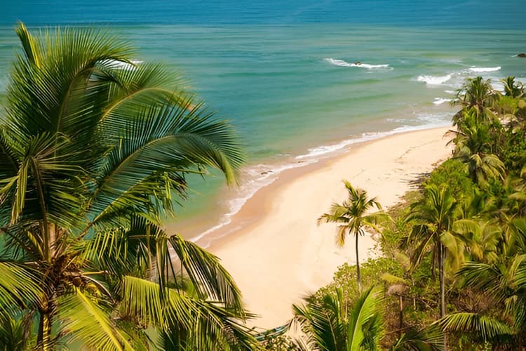 GOA