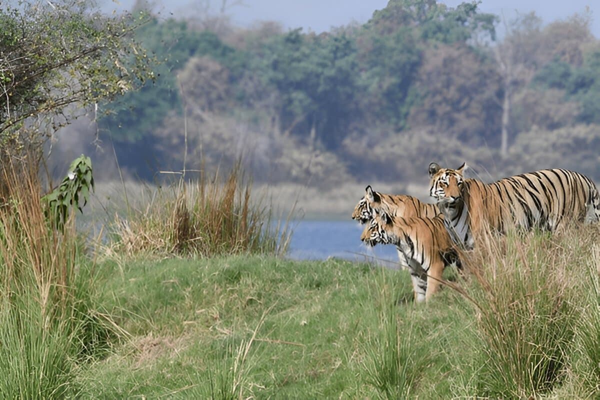 Maharashtra