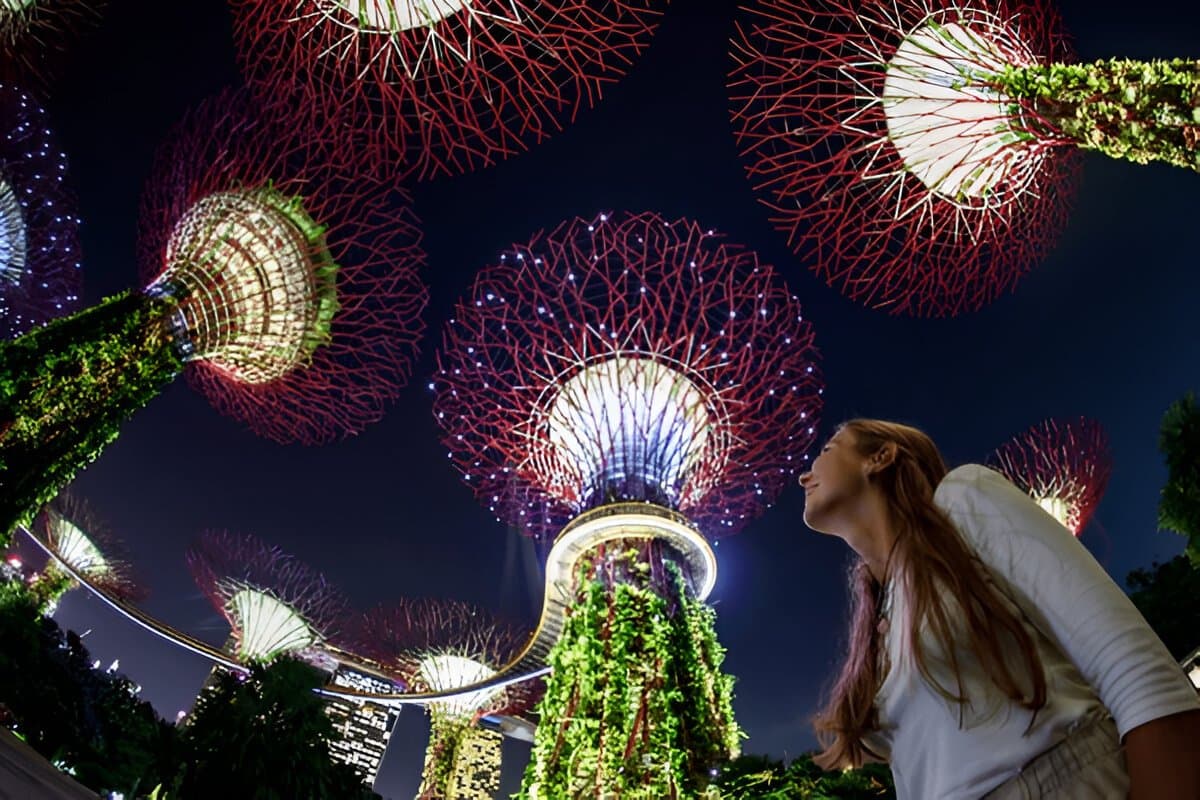   Singapore Wonders