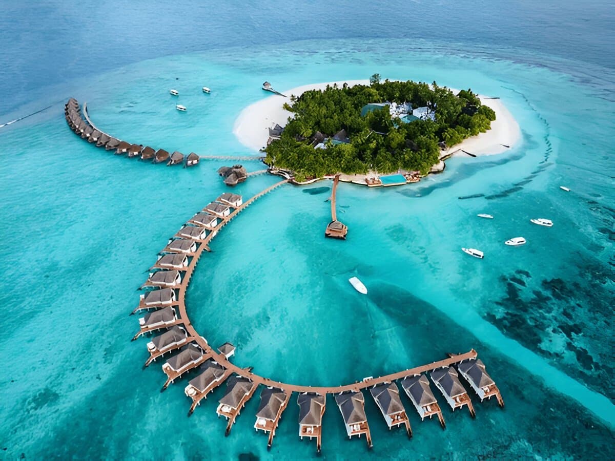 Escape to Paradise