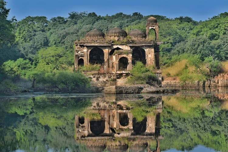  Short Trip to Ranthambore 