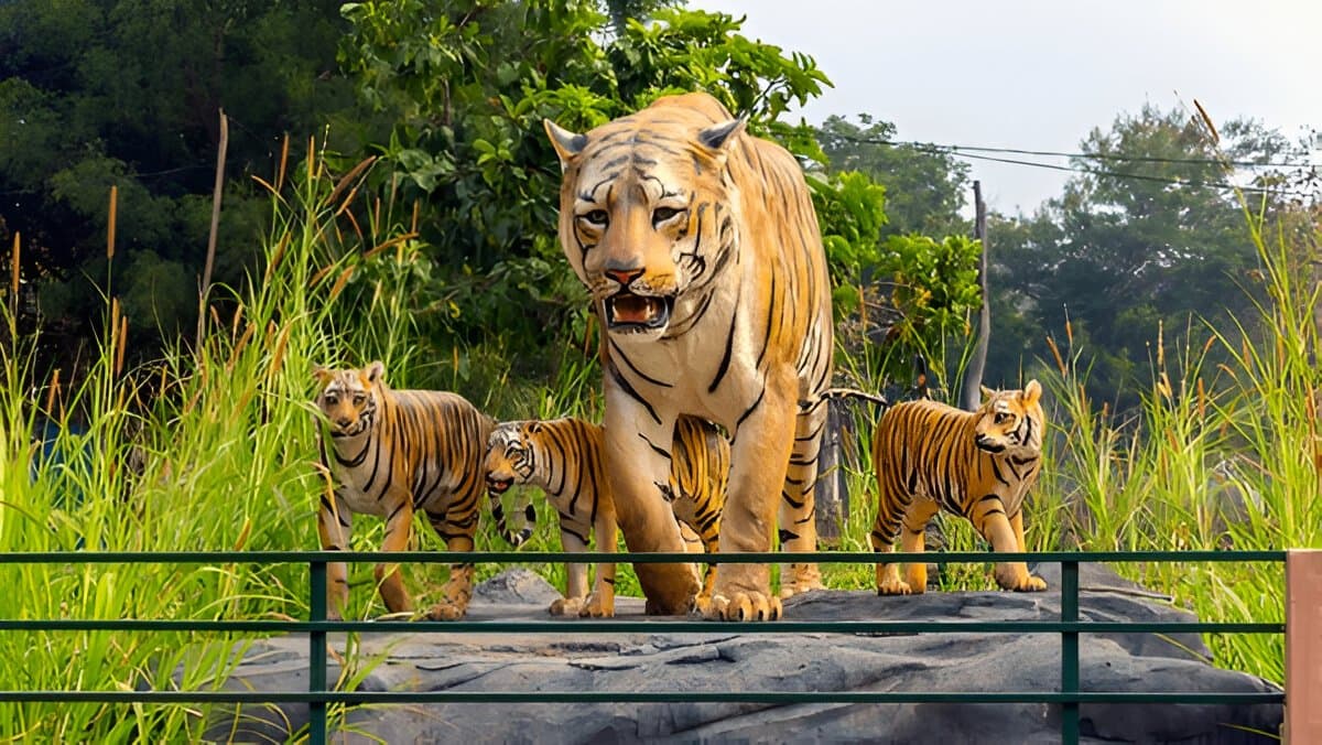 Bewitching Tadoba – 2 Nights/ 3 Days