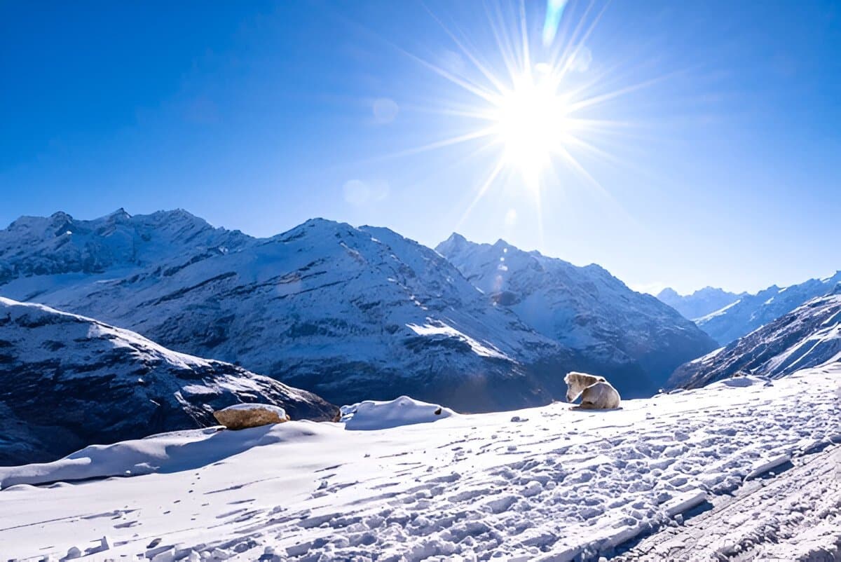 Manali