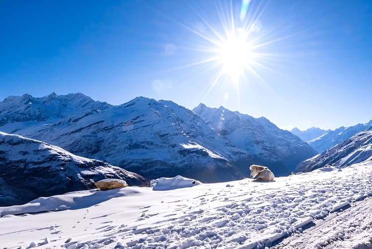 Manali