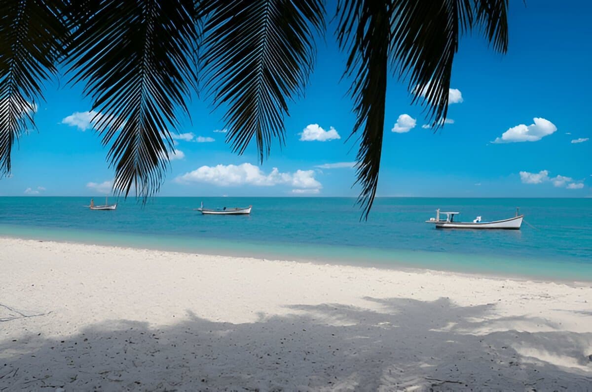 Panoramic Lakshadweep