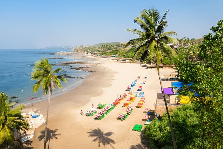 Goa