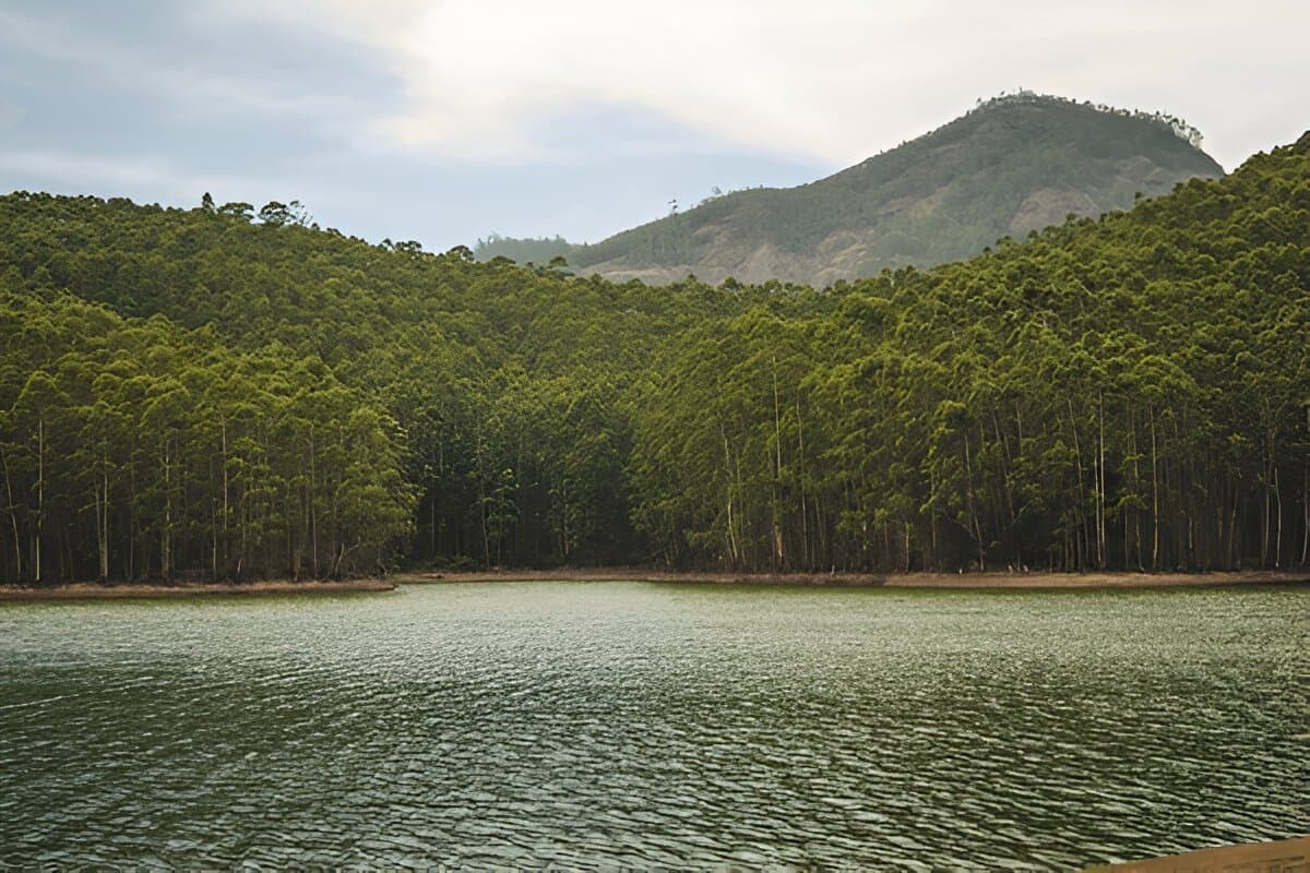 Escape to Kerala – 7 Nights/ 8 Days