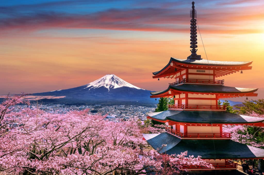 Top Holiday Packages: National &amp; International Holiday Destinations