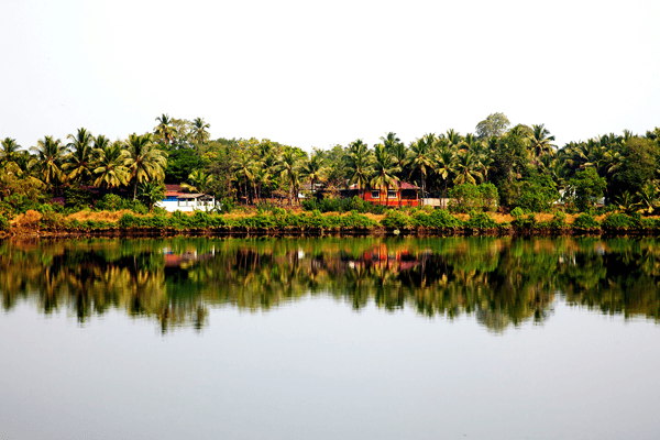 What Makes this Mumbai to Goa Cruise Package for Family the Best