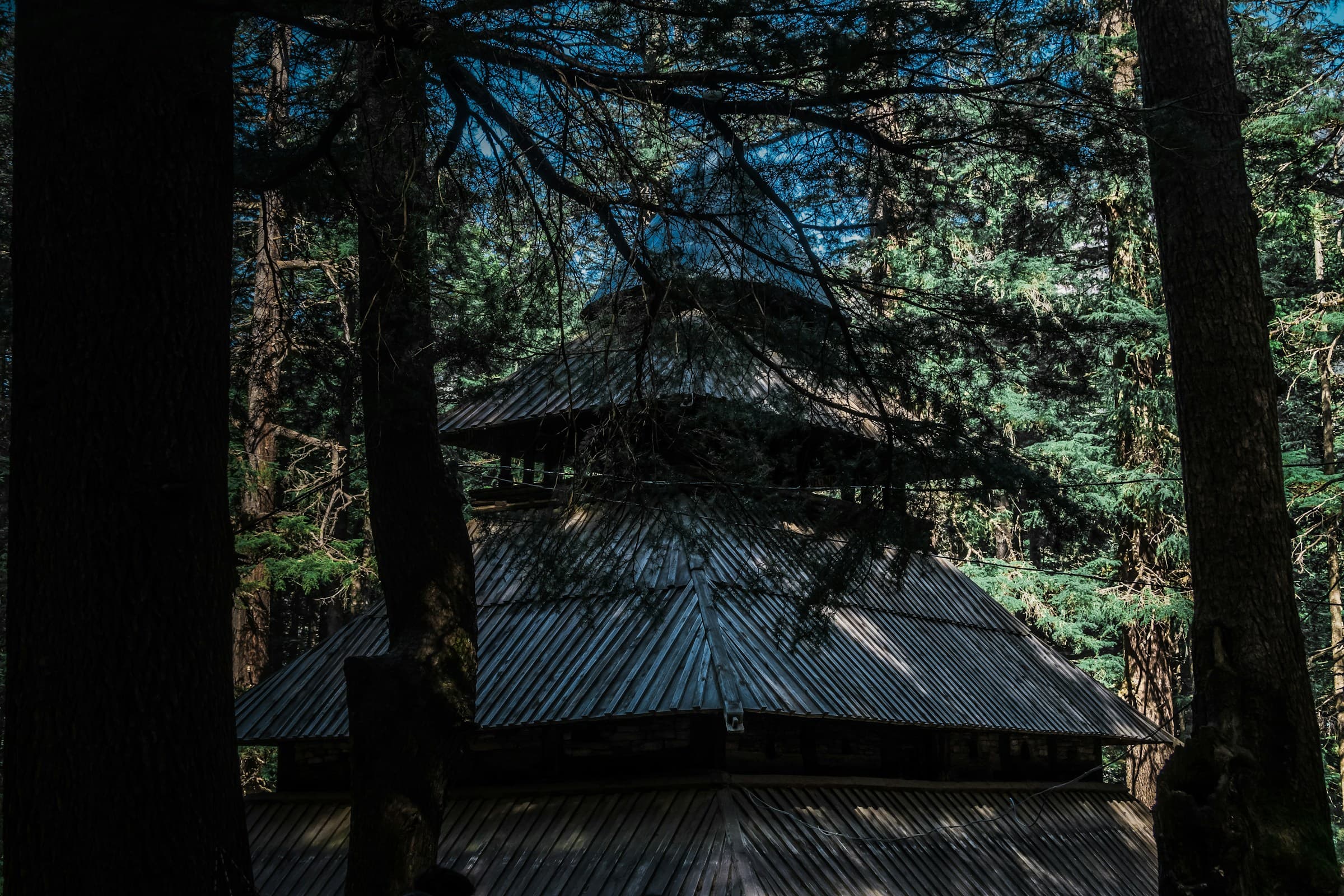 All You Need To Know About Hidimba Temple Manali: Visiting Tips