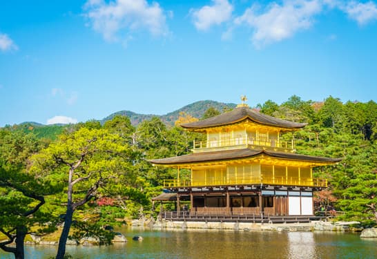 Finding Serenity at the Japanese Temple Sarnath: A Peaceful Retreat