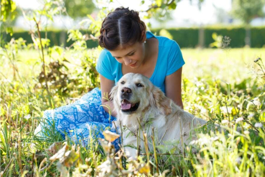 Gift Yourself a Comfortable Experience at Pet-Friendly Hotels Hyderabad