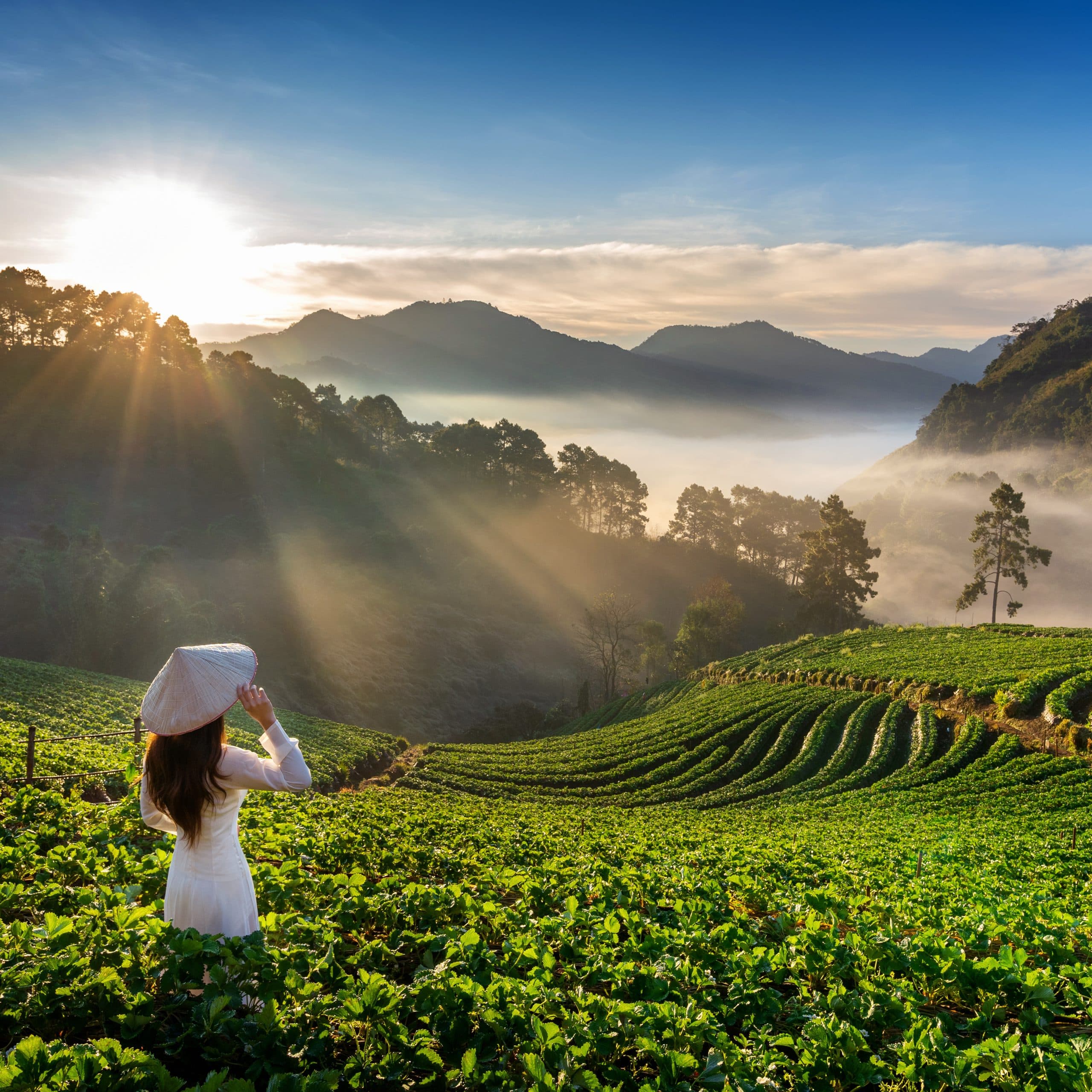 Explore Chikmagalur in Karnataka: The Coffee Paradise That Will Elevate Your Travel Experience 