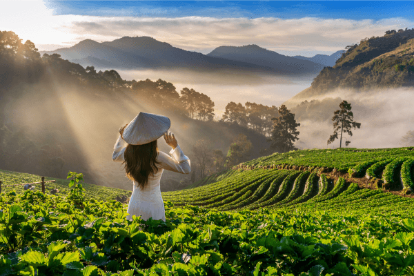 Vietnam in 10-Days with the Ultimate Tour Package