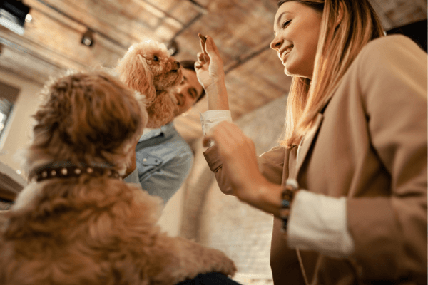 Your Furry Friend&#8217;s Ideal Stay in Gurgaon