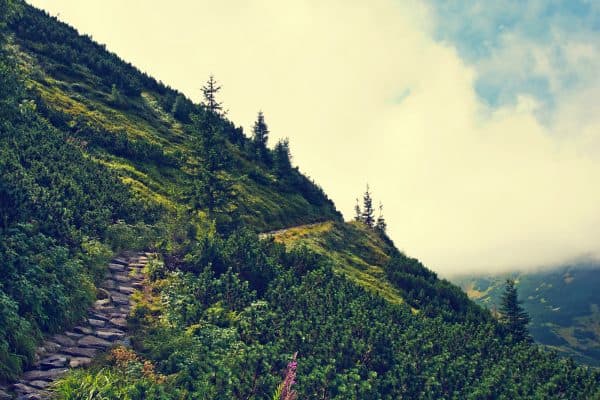 Find the Best Darjeeling Honeymoon Trip