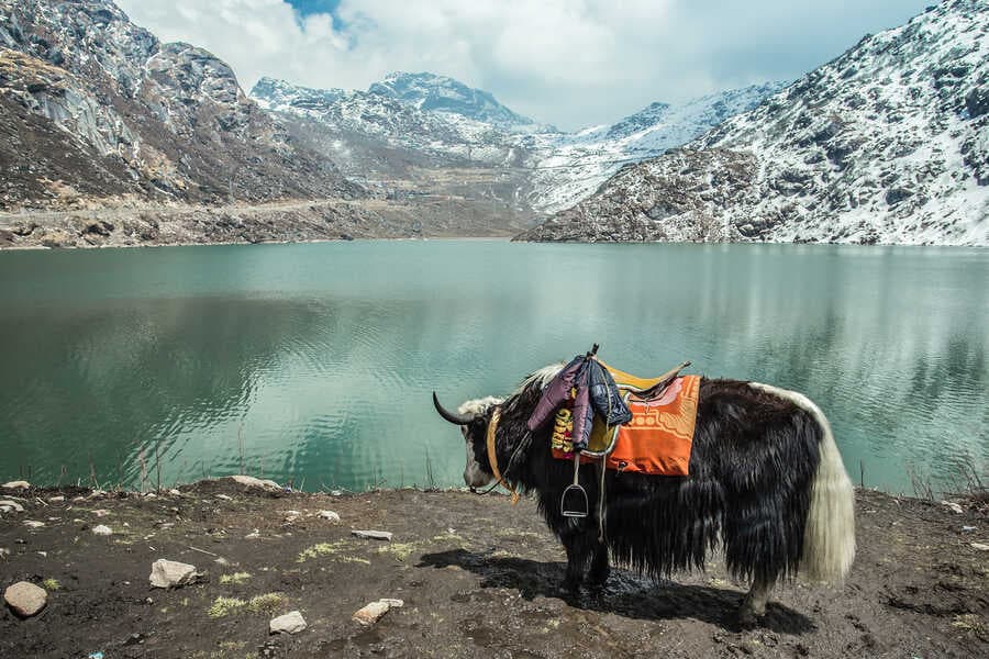 Gangtok Honeymoon Tour: A Dream Escape