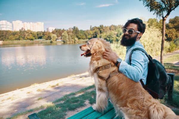 Pet-Friendly Hotels in Shimla: A Haven for You and Your Pet