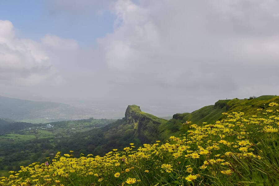 Blog image