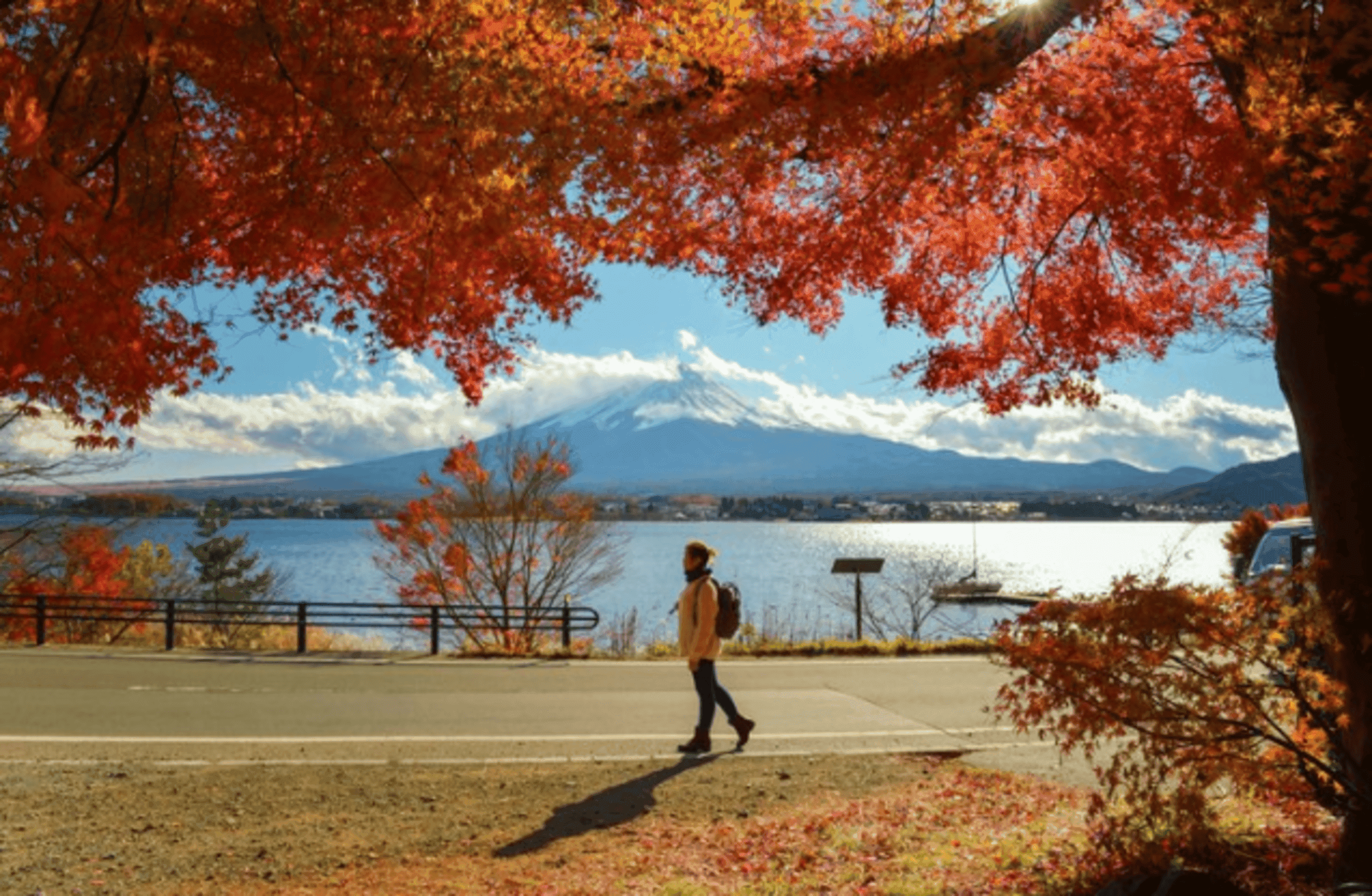 Hiking in Tokyo: 5 Entrancing Paths That Will Leave Hikers Awestruck 