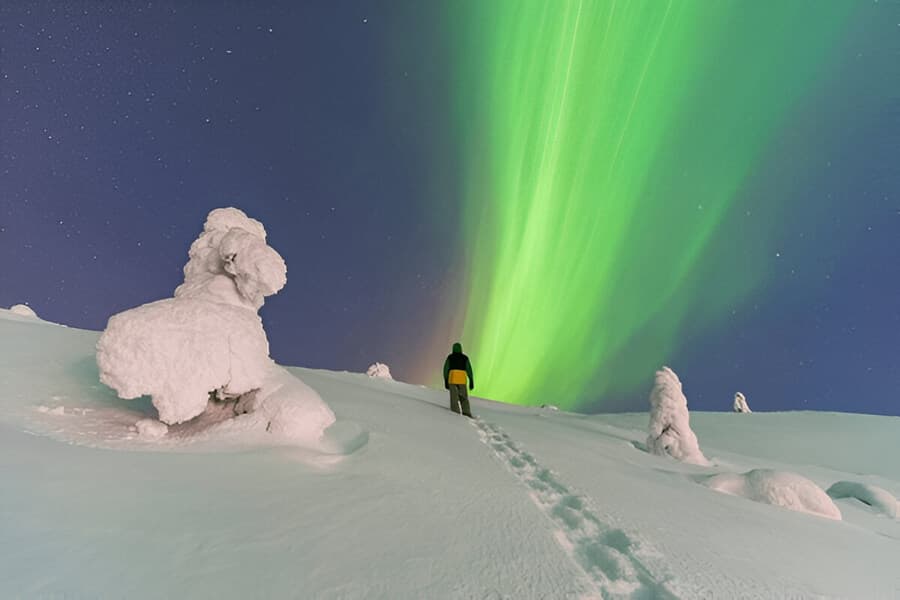 Northern Lights