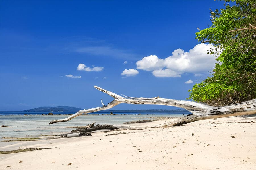places to visit in Andaman​ - Elephant Beach