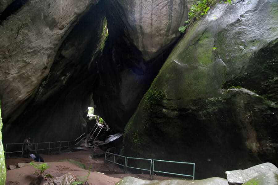Blog image