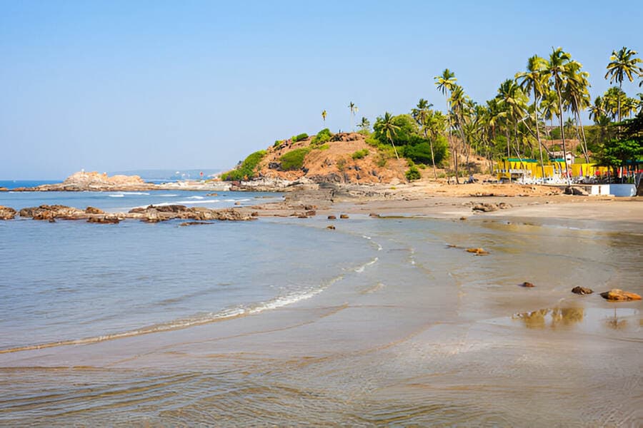 Chorao Island