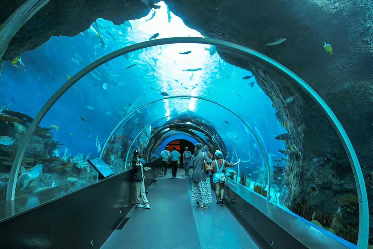 S.E.A. Aquarium,Singapore
