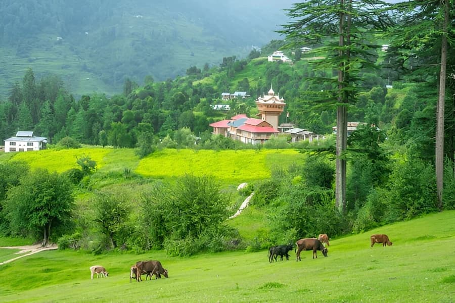  Great Himalayan National Park
