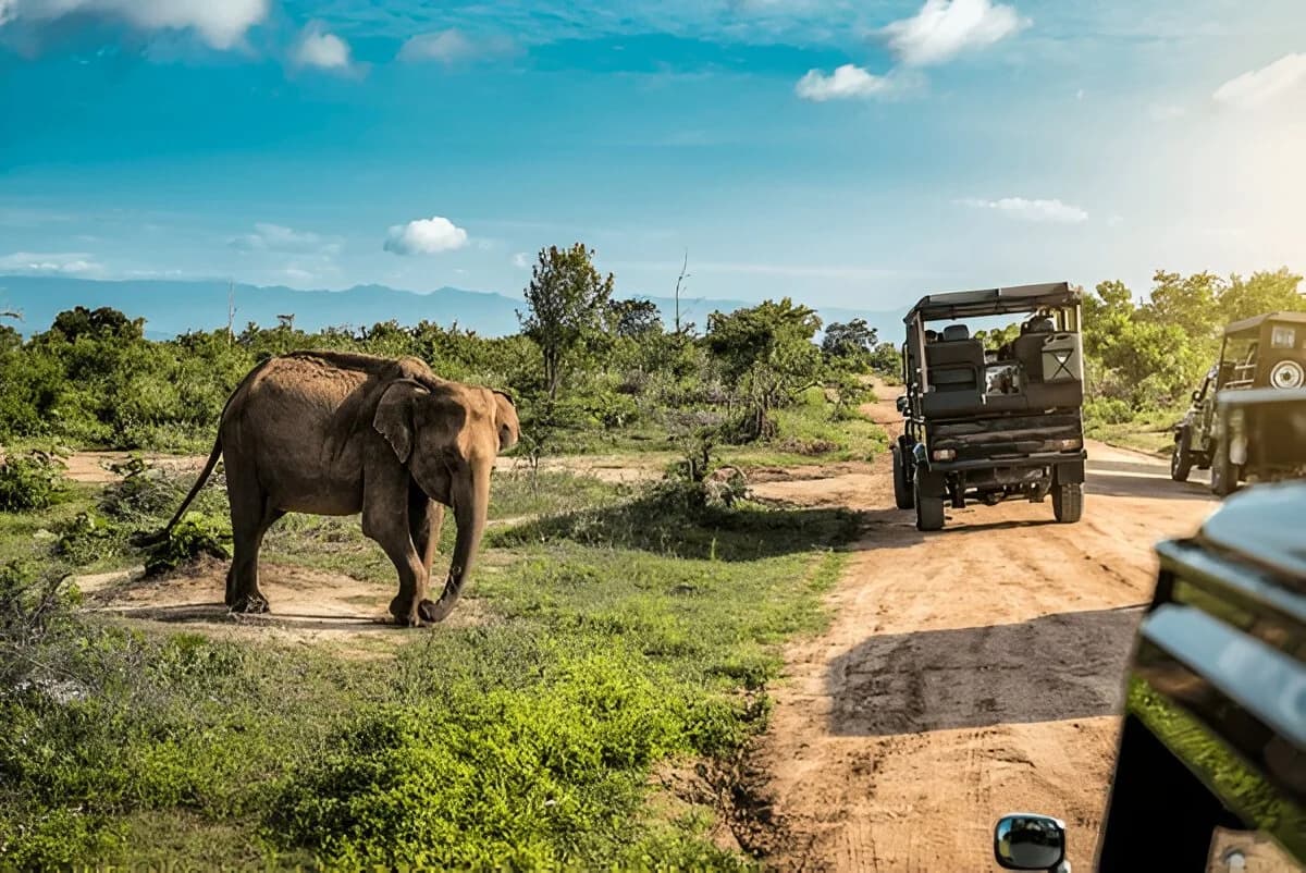 Udawalawe National Park