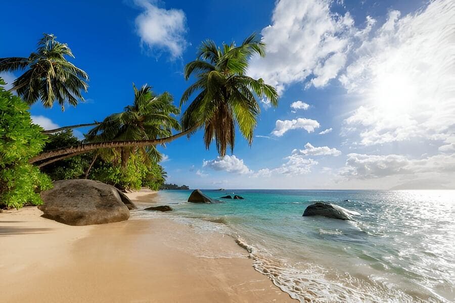 Famous Beaches in Goa