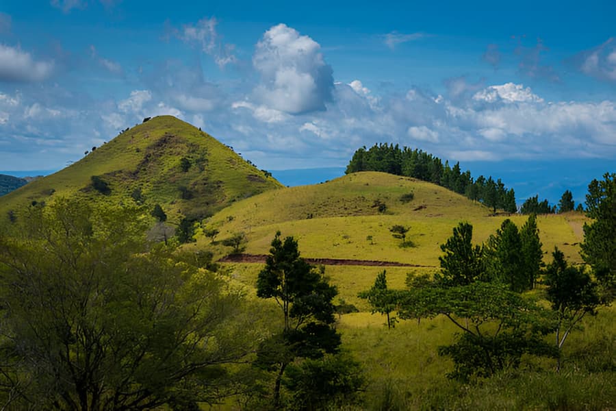 Pettimudi Hill Top
