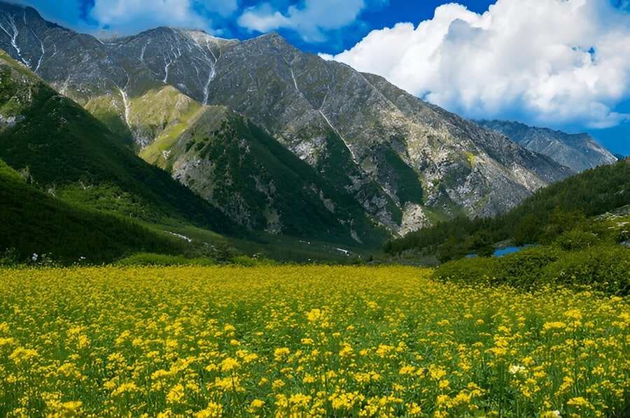 Chitkul