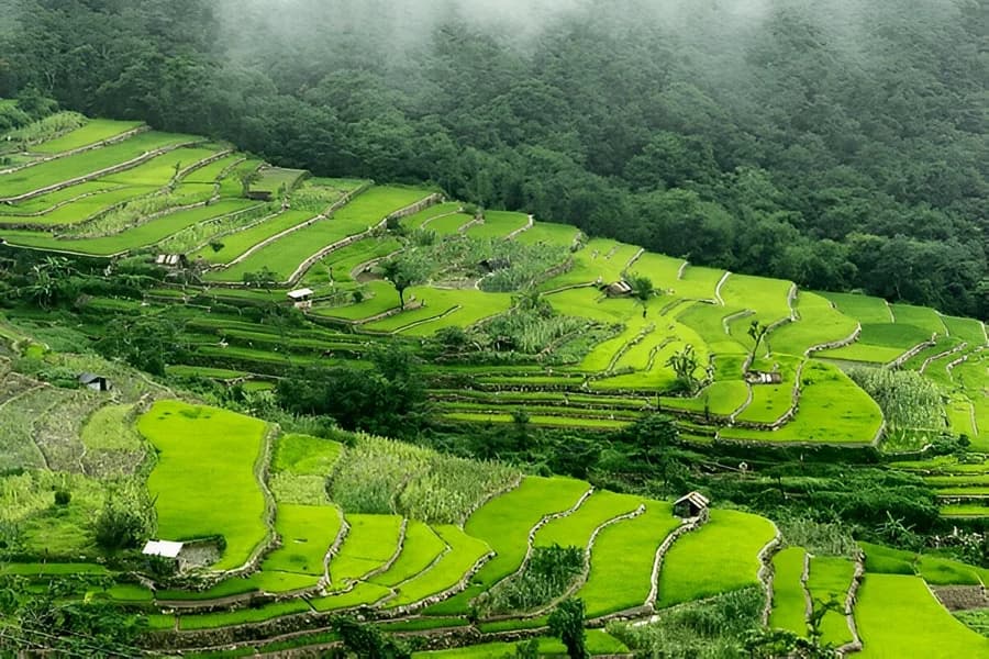 Nagaland