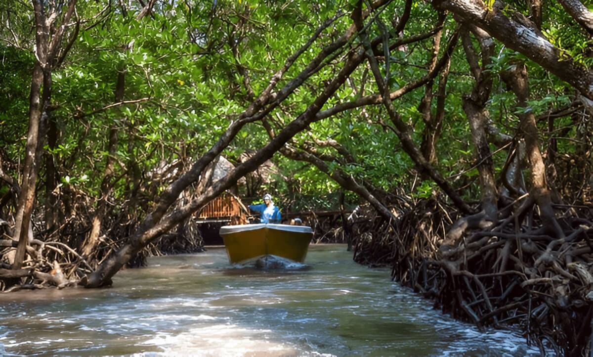 Baratang Island