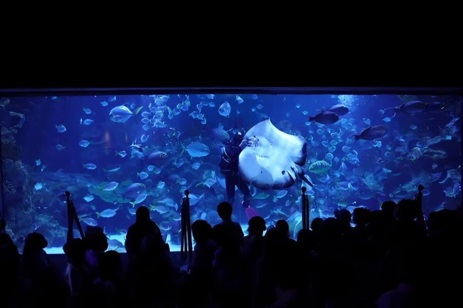 Aquaria KLCC