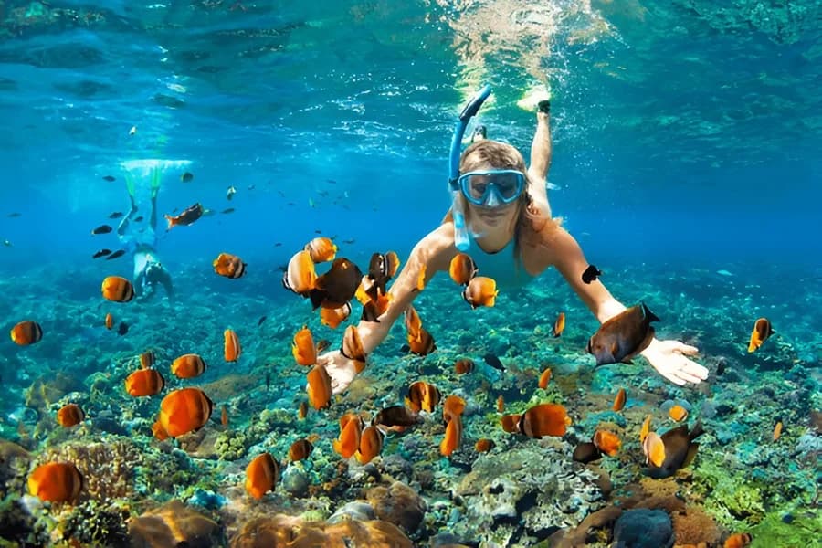 Snorkelling in Andaman