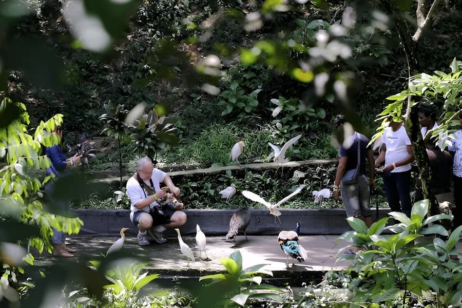 KL Bird Park