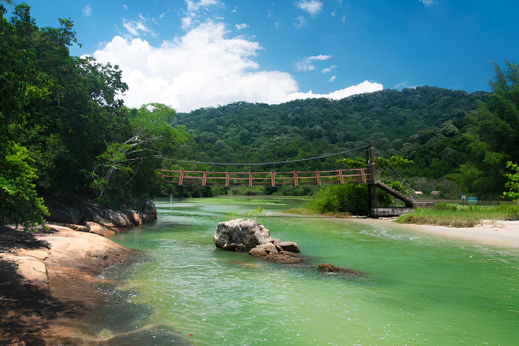 Penang National Park
