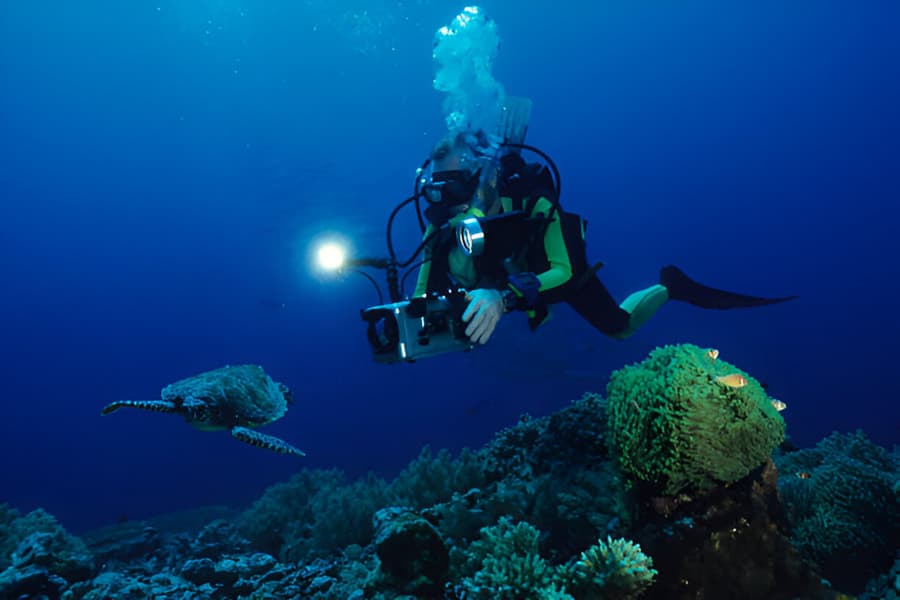 Blog image