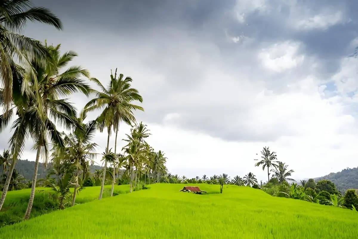 Munduk, Bali