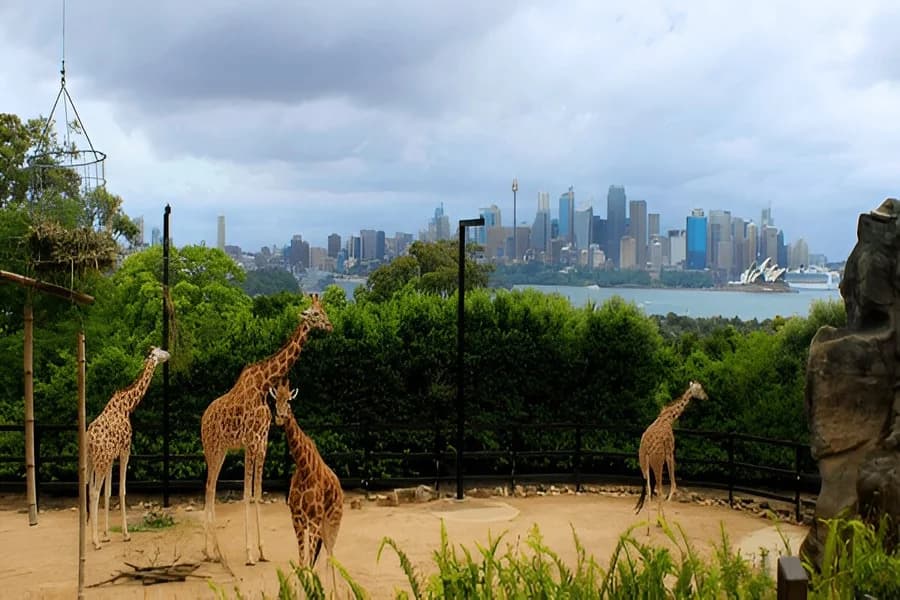 Taronga Zoo