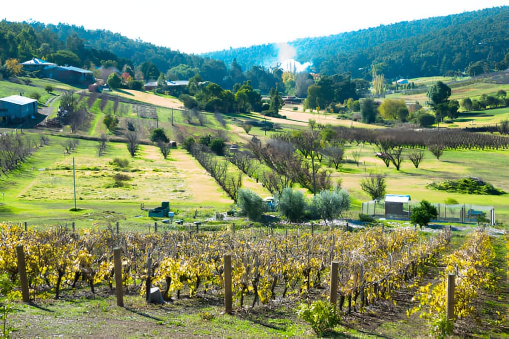 Swan Valley