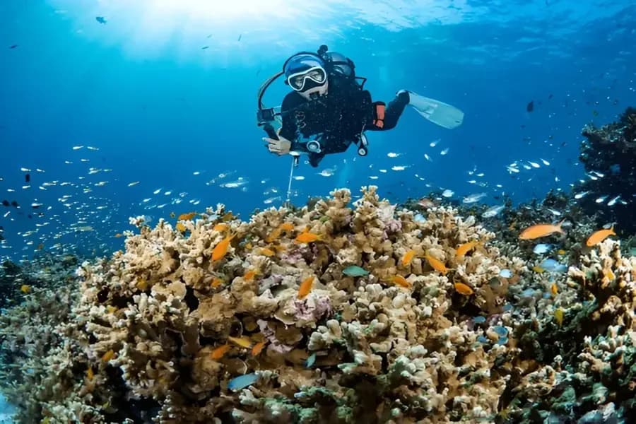 Scuba Diving